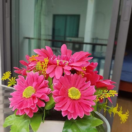 Amaretto Hostel سوراثاني المظهر الخارجي الصورة