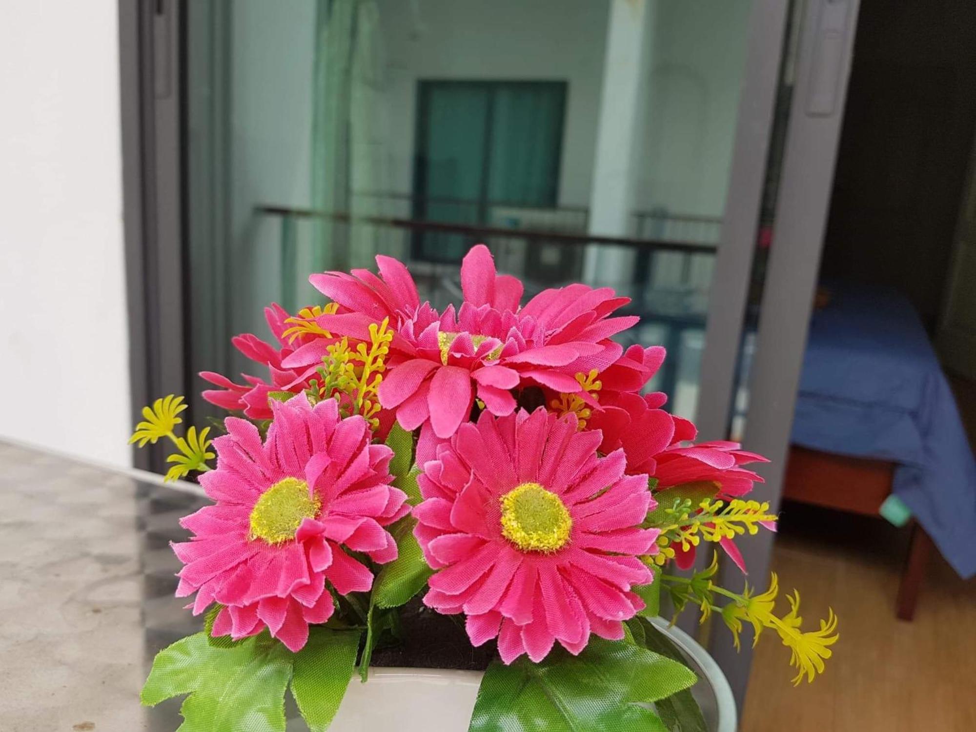 Amaretto Hostel سوراثاني المظهر الخارجي الصورة